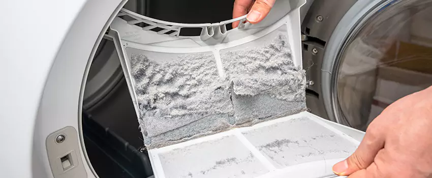 Best Dryer Lint Removal Company in Tarpon Springs, Florida