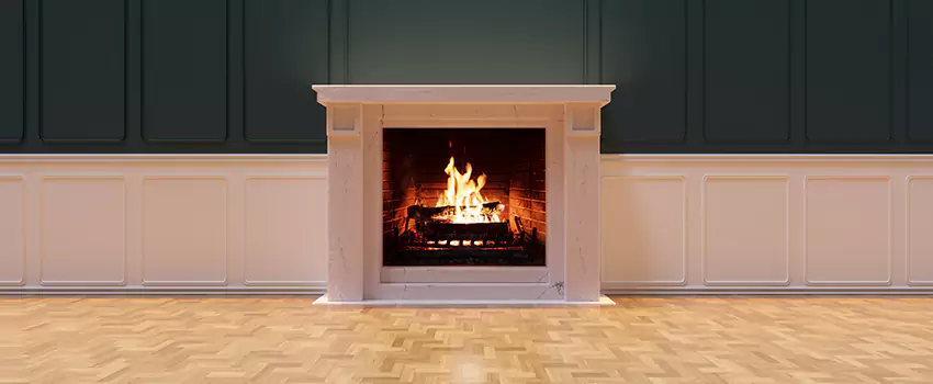 Napoleon Electric Fireplaces Inspection Service in Tarpon Springs, Florida