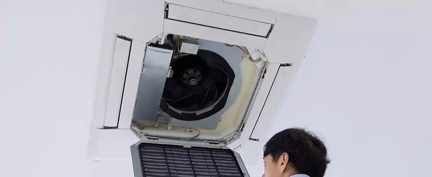 Benefits of Professional Air Duct Cleaning in Tarpon Springs, Florida