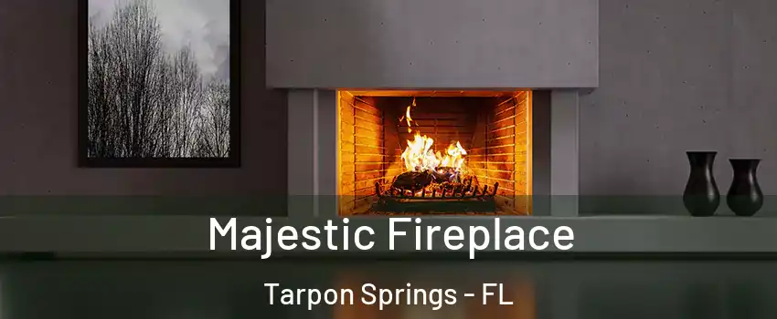  Majestic Fireplace Tarpon Springs - FL