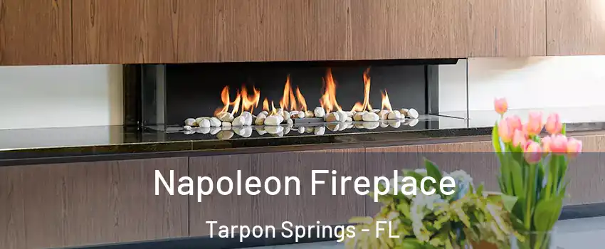  Napoleon Fireplace Tarpon Springs - FL