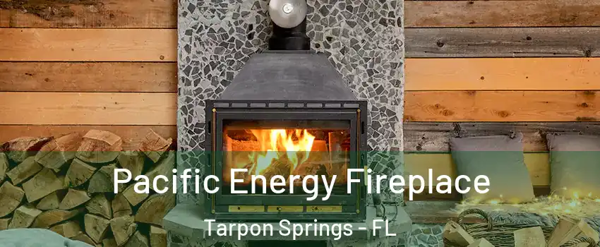  Pacific Energy Fireplace Tarpon Springs - FL