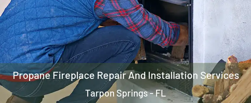  Propane Fireplace Repair And Installation Services Tarpon Springs - FL