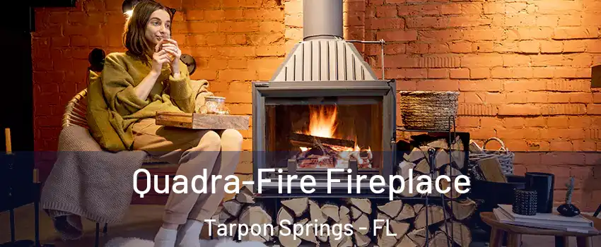  Quadra-Fire Fireplace Tarpon Springs - FL