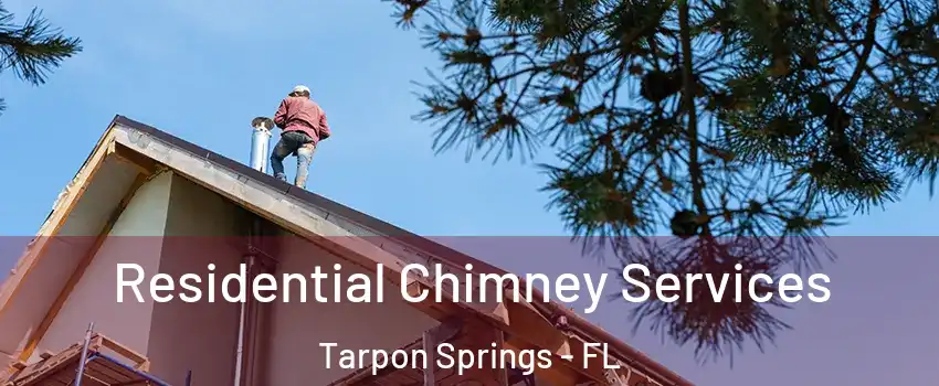  Residential Chimney Services Tarpon Springs - FL