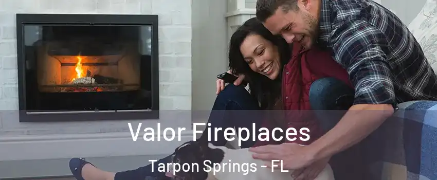  Valor Fireplaces Tarpon Springs - FL
