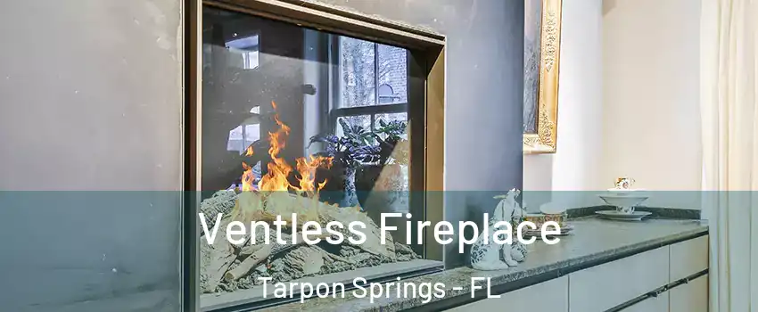  Ventless Fireplace Tarpon Springs - FL