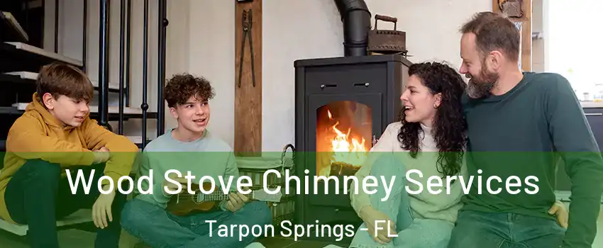  Wood Stove Chimney Services Tarpon Springs - FL